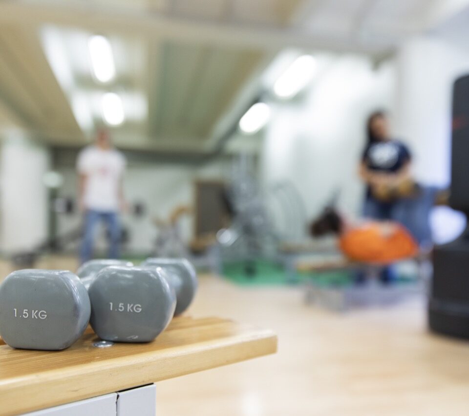 valentino-area-fitness-collegio-einaudi-5