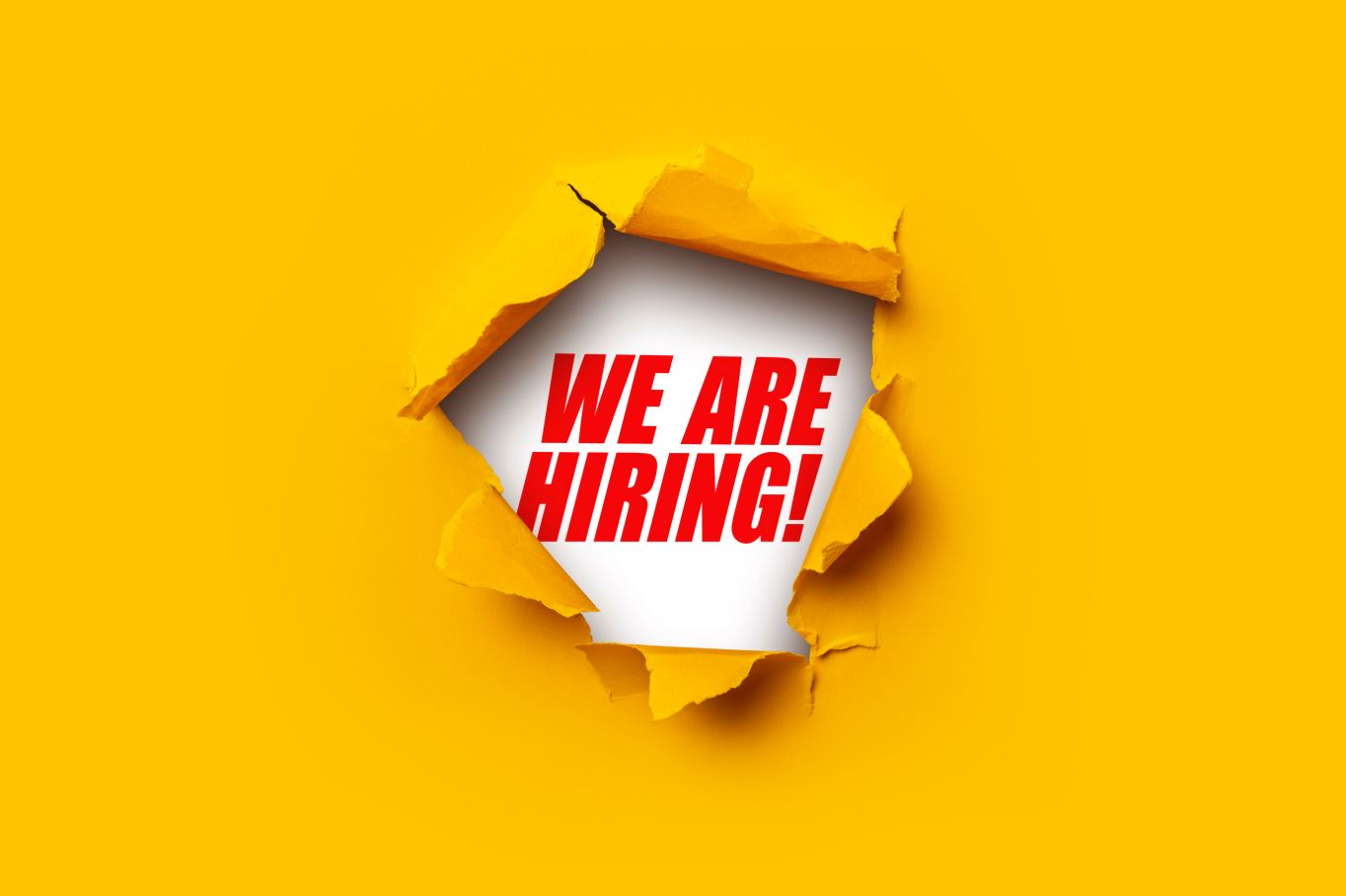 Lavora con noi: job opportunity Community Manager - Fondazione Collegio ...