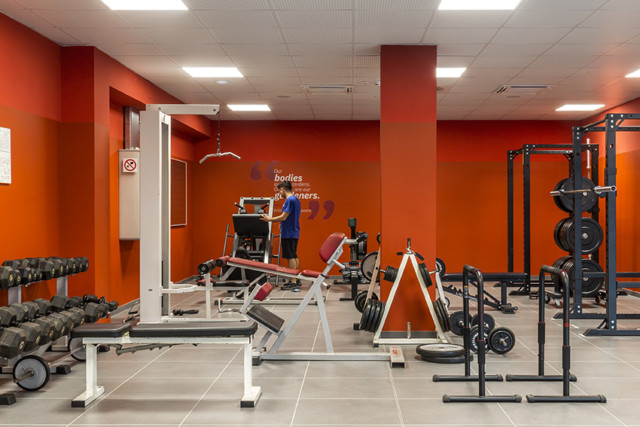 collegio-einaudi-sezione-mole-palestra