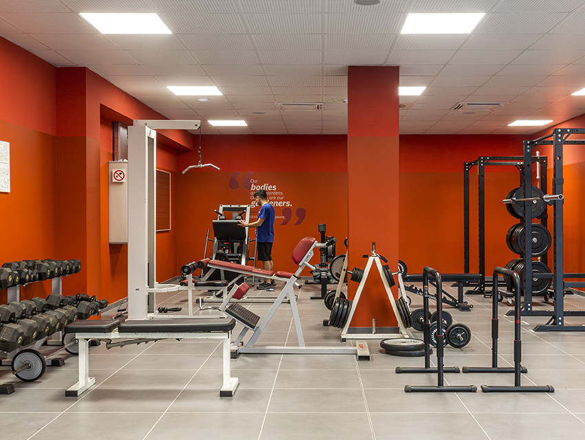 collegio-einaudi-sezione-mole-palestra