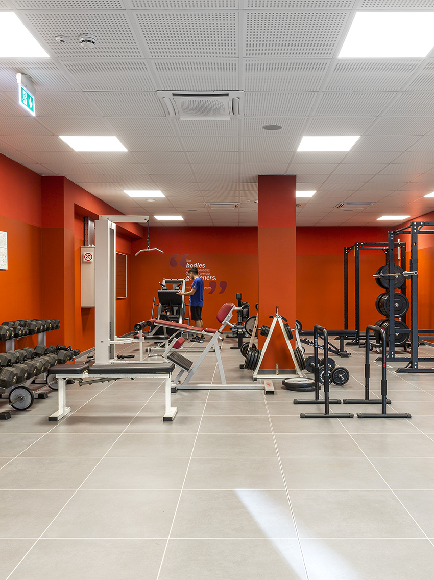 collegio-einaudi-sezione-mole-palestra